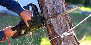 Best Aeration Services  in Klamath Falls, OR