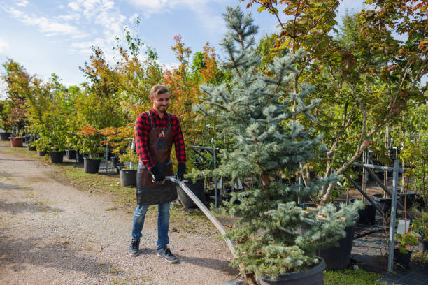 Best Utility Line Clearance  in Klamath Falls, OR
