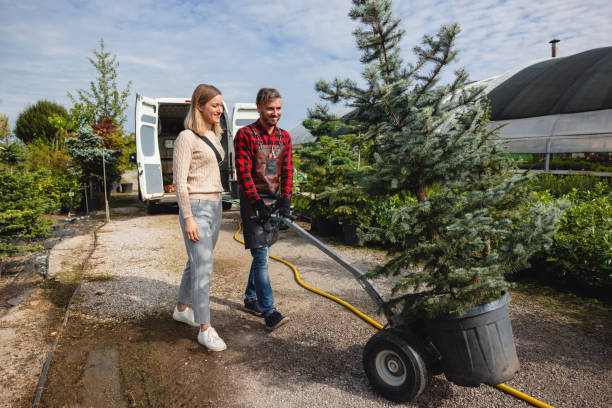 Best Firewood Processing and Delivery  in Klamath Falls, OR